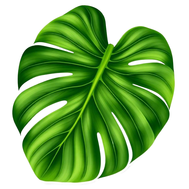 Monstera